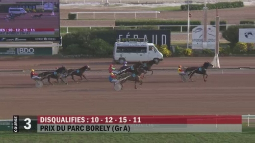 EL CAMINO DE LOU (Royal Dream-Saba du vivier)