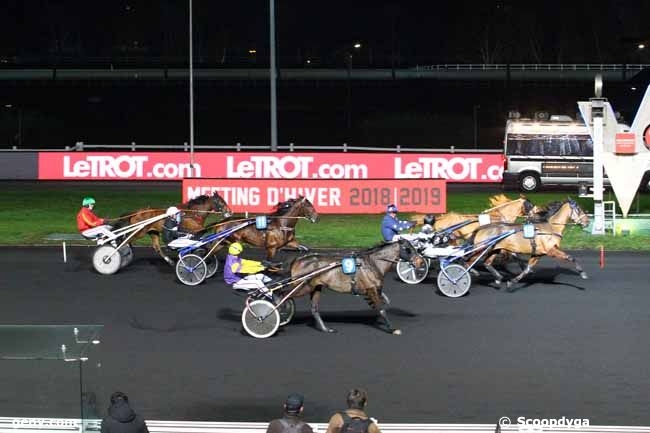 FALCO SACHA (Real de Lou-Nostalgique sacha)