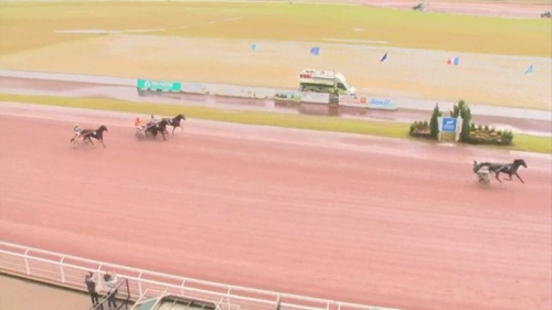 FINE DU COLOMBIER ( Real de Lou-Treizième rue)