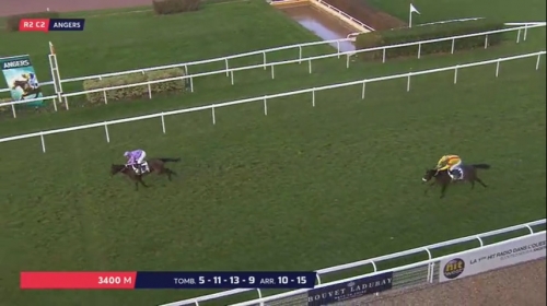 LOU MAGNIFICA (Saints des Saints-Lou Emerald)