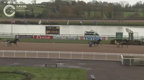 HENRIQUE DE LOU ( Real de Lou-Star de tembia)