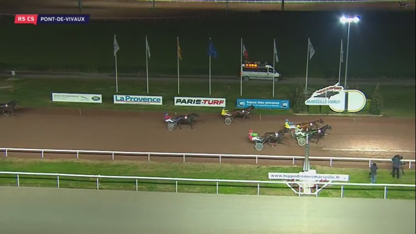 EL CAMINO DE LOU (Royal dream-Saba du vivier)