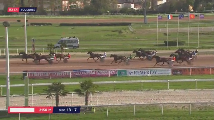 EL CAMINO DE LOU (Royal Dream-Saba du vivier)