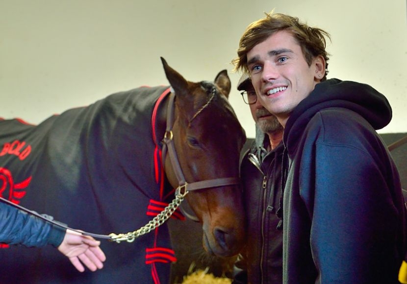 ISEO DE LOU (Prodigious-Riviera de Lou)