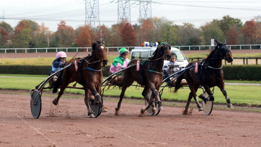 GISELA DE LOU (Goetmals wood-Selecao de Lou)