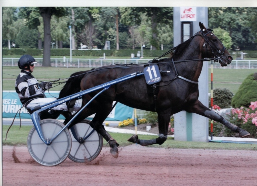 REAL DE LOU (Jag de Bellouet-Kooka de Lou=