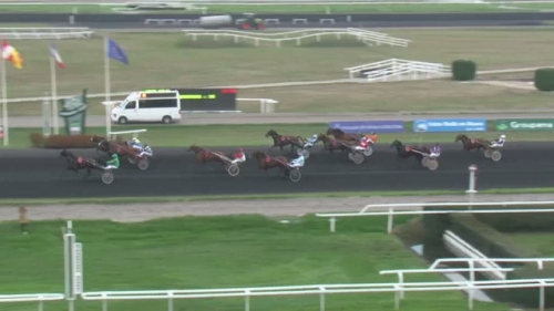 DI STEPHANO DE LOU (Prodigious-Nora de Lou)