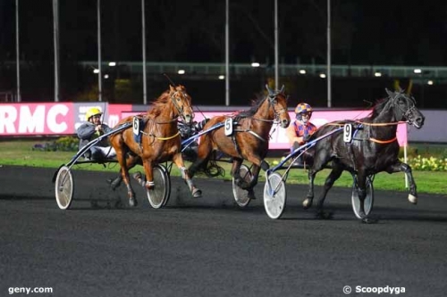 FALCO SACHA (Real de Lou- Nostalgie Sacha)