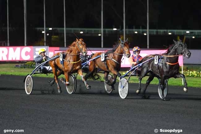 FALCO SACHA (Real de Lou- Nostalgie Sacha)