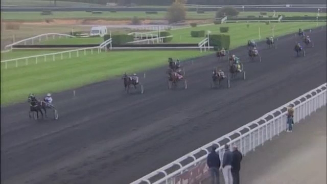 FILHIO DE LOU (Prodigious-Lola de Lou)