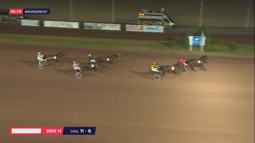 CHIQUITO DE LOU (Redeo Josselyn-Urika Speed)