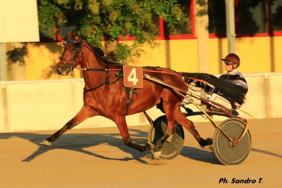 EPONA DU PASSAGE (Real de Lou-Tinou girl)