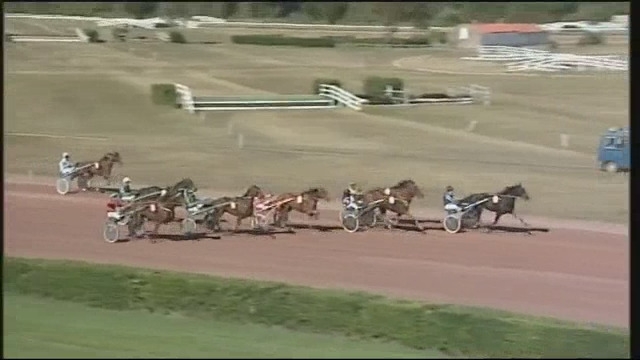 FLAMENGO DE LOU (Ganymède-Tania de Lou)