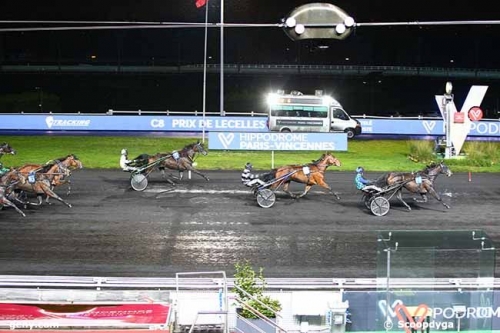 FALCO SACHA (Real de Lou- Nostalgique Sacha)