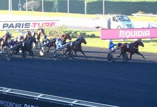 Les « lou » cette semaine à Vincennes