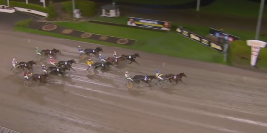 MELLBY GOOD (Going Kronos-Naomi de Lou)