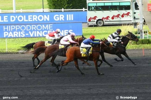 DAIDA DE VANDEL (Real de Lou-Gallia de Vandel)