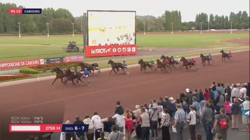 DORADA DE LOU (Sam Bourbon-Riviera de Lou)