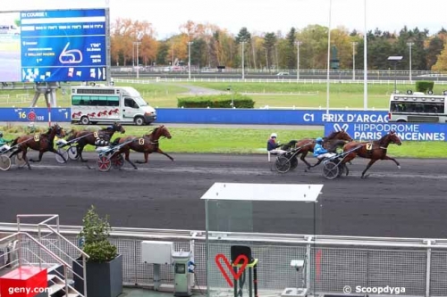 CARIOCA DE LOU (Jag de Bellouet-Lola de Lou)