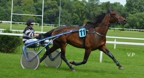 DEVISE DU VIVIER (Real de Lou-Melusine du vivier)