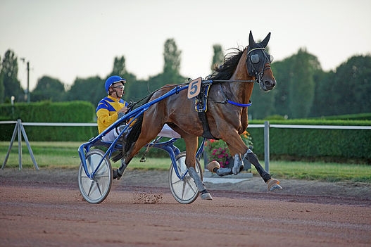 FABREGAZ (Quaker jet-Senora de Lou)