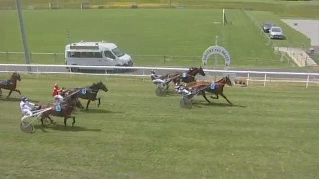 FLAMENGO DE LOU (Ganymède-Tania de Lou)