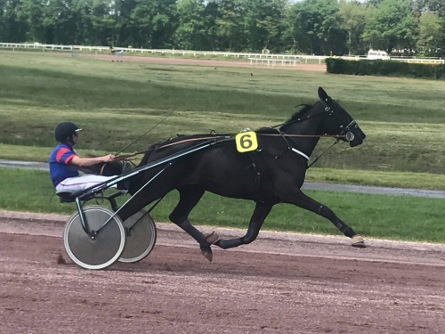 FOREST DEVIL (Real de Lou- Miss de Guez)