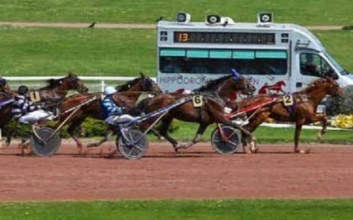 REAL DE LOU ( Jag de Bellouet-Kooka de Lou)