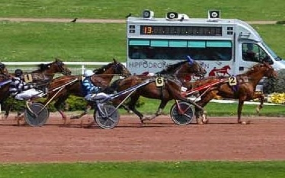 REAL DE LOU ( Jag de Bellouet-Kooka de Lou)