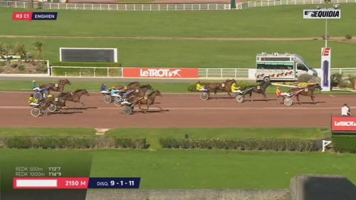 EPONA DU PASSAGE (Real de Lou-Tinou Girl)