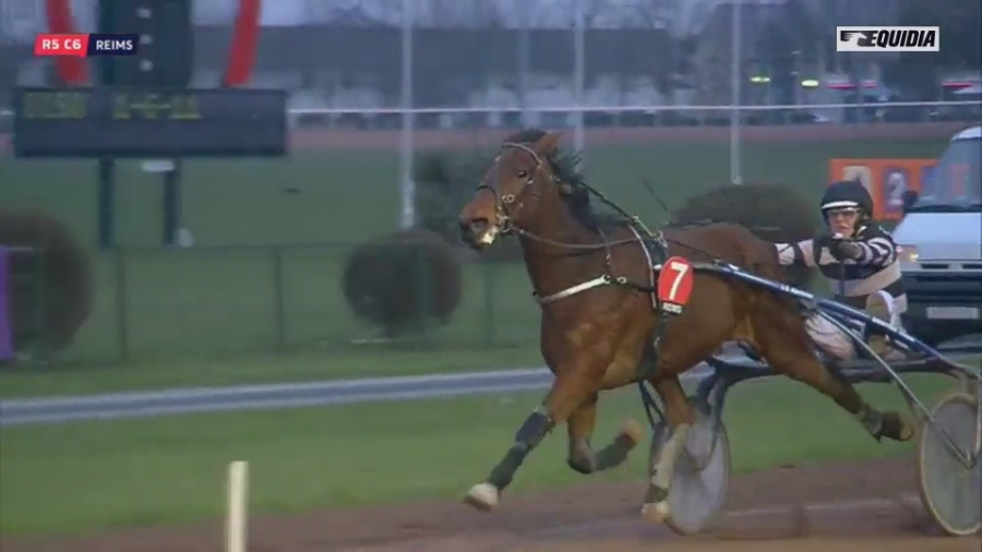 DOMINGO DE LOU (Real de Lou-Quinska de Lou)