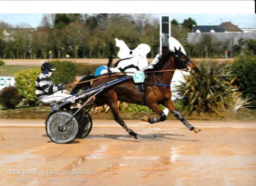 DORADA DE LOU et FIRST D’ANY