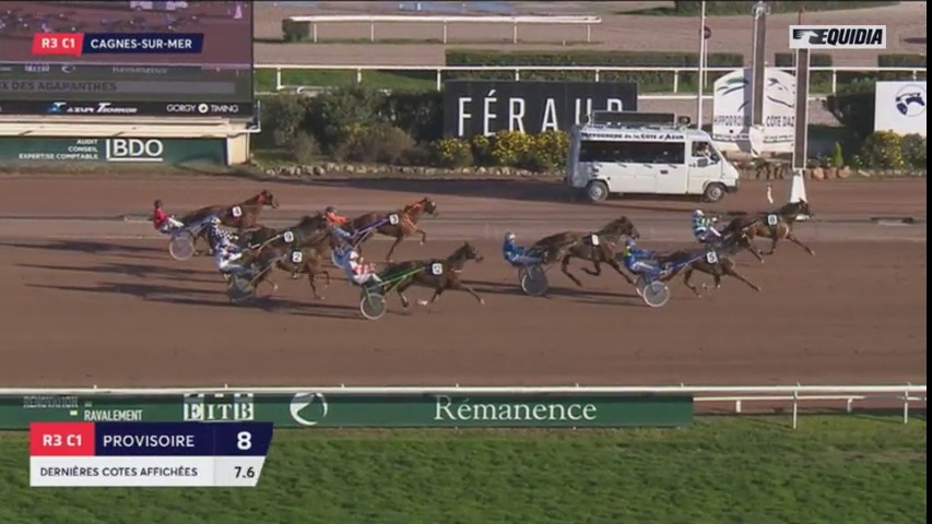 DORTHEZ PRESTANCE (Real de Lou-Quelle Prestance)