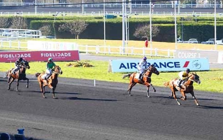 DAIDA DE VANDEL (Real de Lou-Gallia de Vandel)