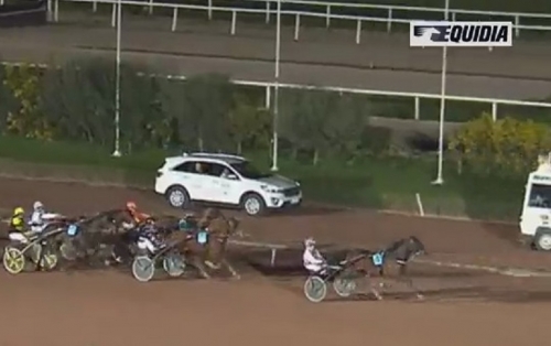 DI STEPHANO DE LOU (Prodigious-Nora de Lou)