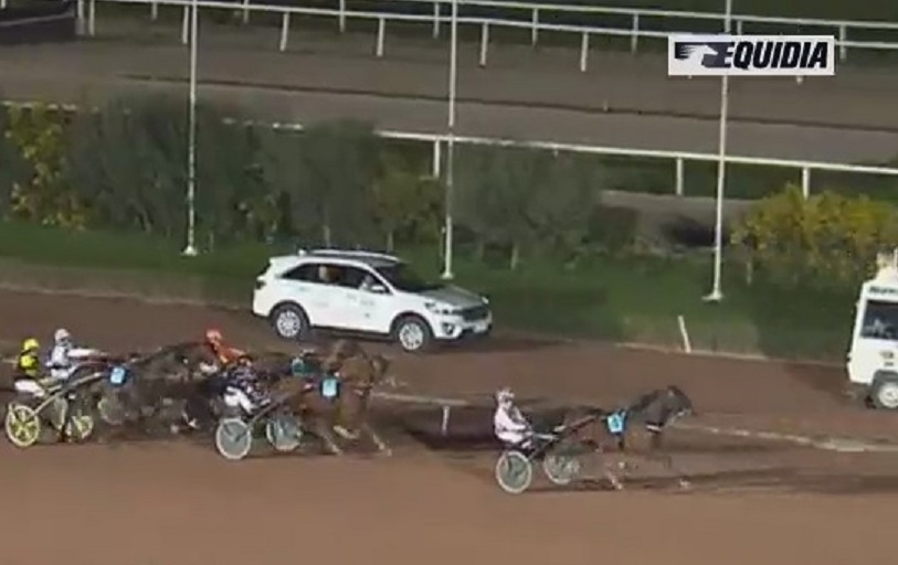 DI STEPHANO DE LOU (Prodigious-Nora de Lou)