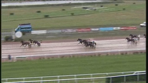 EL CAMINO DE LOU ( Royal Dream-Saba du vivier)