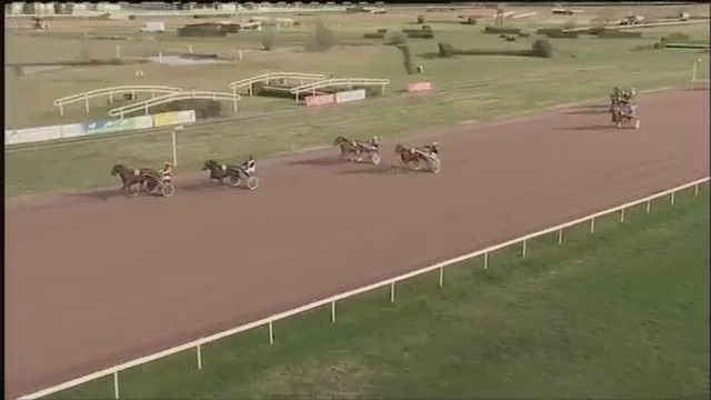 EL CAMINO DE LOU (Royal Dream-Saba du vivier)