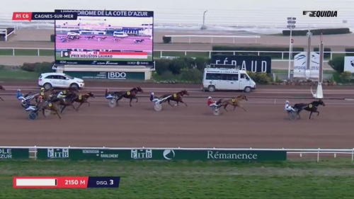 DIVA DE LOU (Love you-Pareastern de Lou)