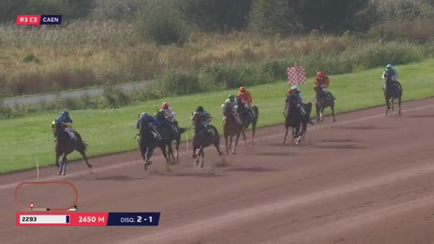 CARIOCA DE LOU ( Jag de Bellouet-Lola de Lou)