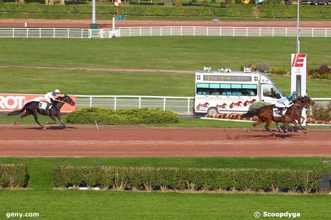 CLASSICO DE LOU (Niky-Harmony de Lou)