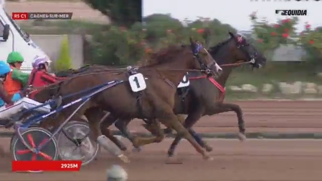 VOLARE DE LOU (Korean – Pareastern de Lou)