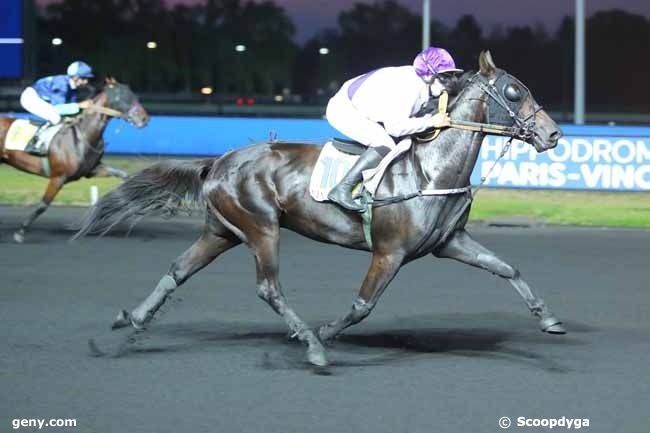 HIGH ROCK DE LOU (Bold eagle -Aosta de Lou)