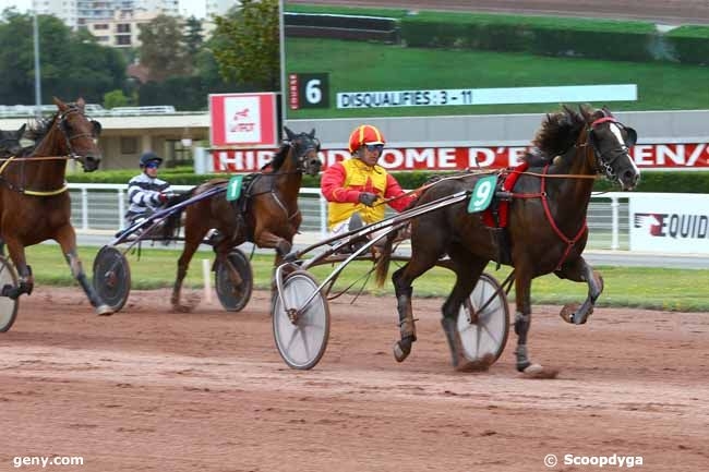ERMINE DU LUDE (Real de Lou-Reine des sables)