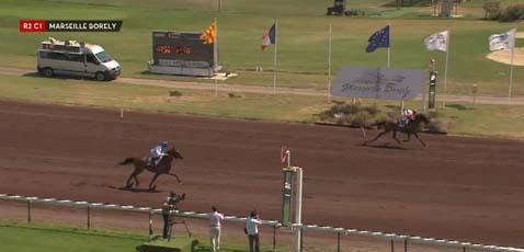 CLASSICO DE LOU (Niky-Harmony de Lou)