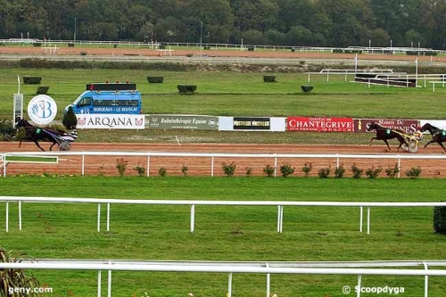 BANCO DE LOU (Kiwi-Pareastern de Lou)