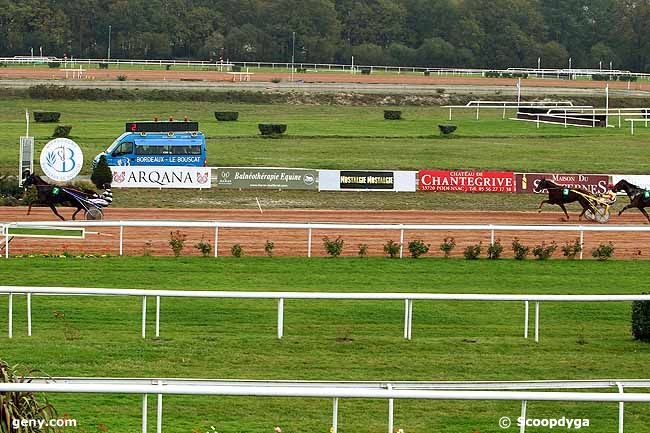 BANCO DE LOU (Kiwi-Pareastern de Lou)