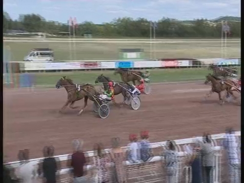 EL CAMINO DE LOU ( Royal Dream-Saba du vivier)