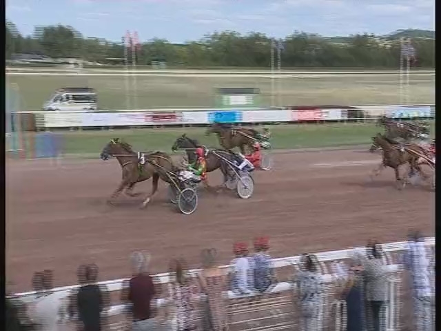 EL CAMINO DE LOU ( Royal Dream-Saba du vivier)