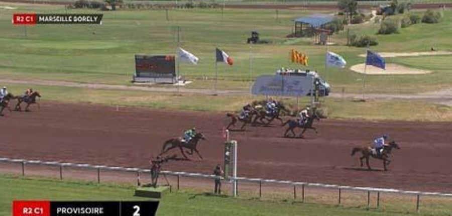 CLASSICO DE LOU ( Niky-Harmony de Lou)